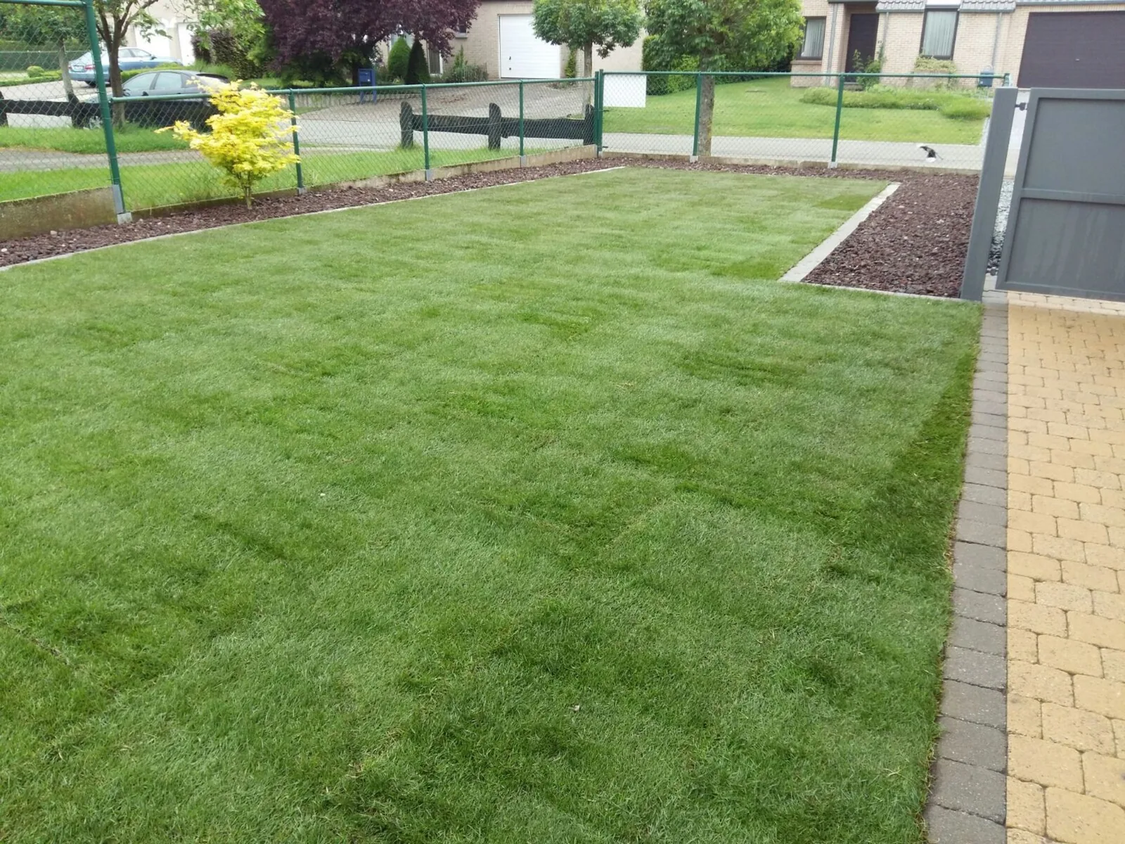 Gazon aanleggen: graszoden of inzaaien — Lumen bv