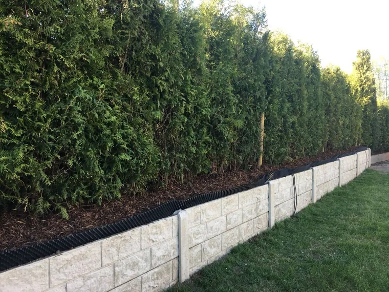 Onderhouden tuin door Lumen bv