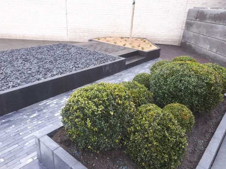 Tuinverharding op maat door Lumen bv